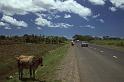 WT 0100 003-38 Fiji